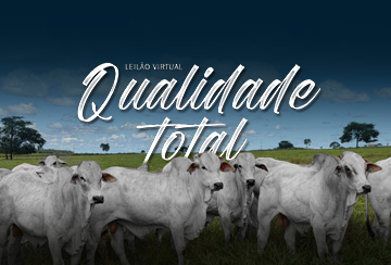 LEILÃO VIRTUAL QUALIDADE TOTAL